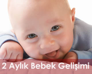 2 aylık bebek gelişimi