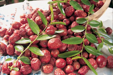 Hünnap Hakkında Genel Bilgiler