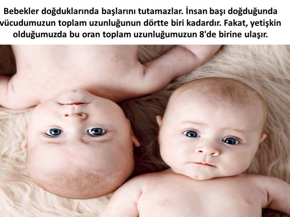 Hamilelik Hakkında Enteresan Bilgiler