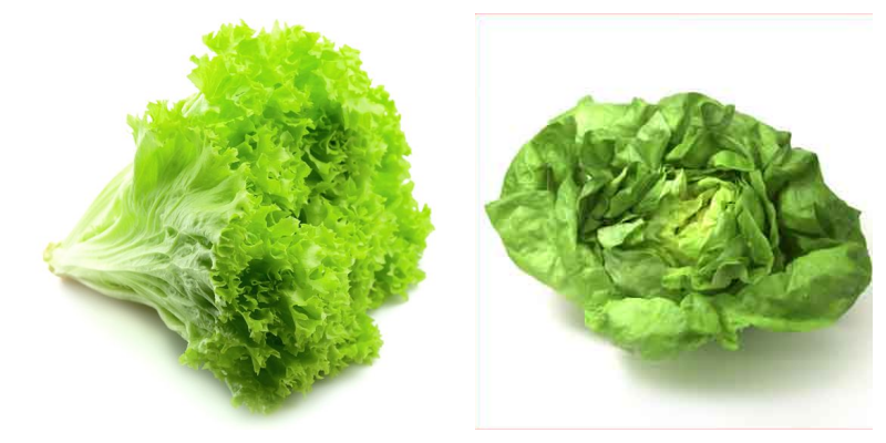 Bunları Alırken Dikkat Edin-Marul