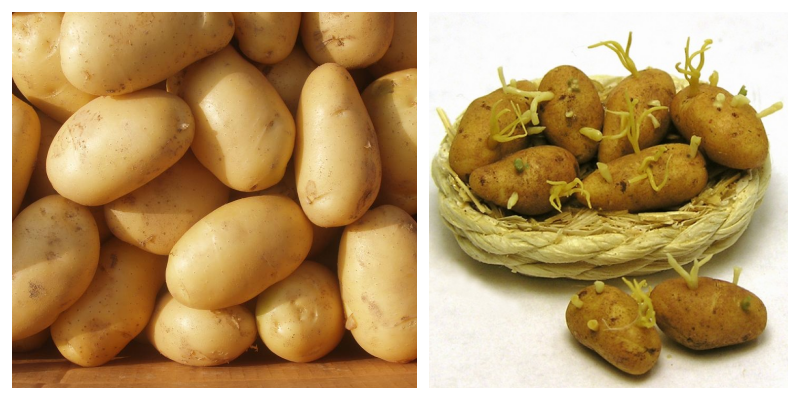 Pazarda Bunlara Dikkat-Patates