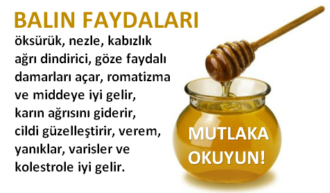 Balın Yararları – Faydaları