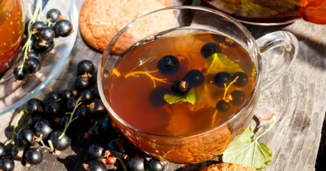 Frenk Üzümü Hakkında Genel Bilgiler