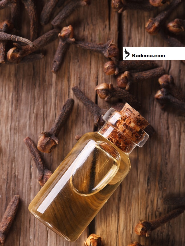 Karanfil ve Karanfil Yağı