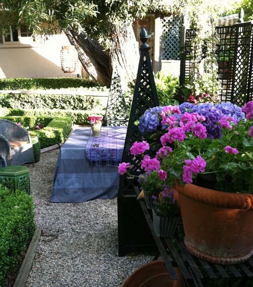 Ortanca Çiçeği Hakkında Genel Bilgiler