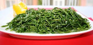 Deniz Börülcesi Hakkında Genel Bilgiler