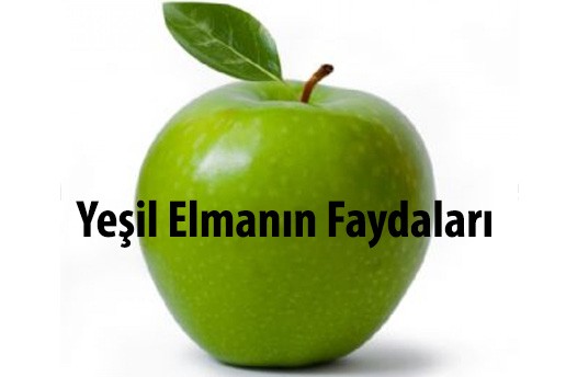 Yeşil Elma Hakkında Genel Bilgiler