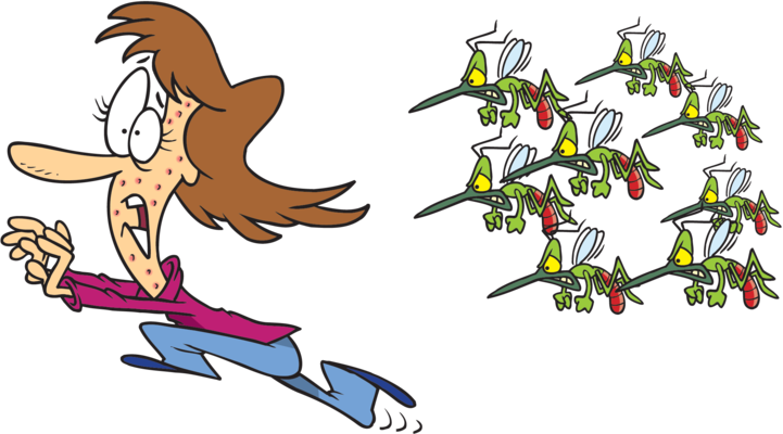 Sineklerden Kurtulalım