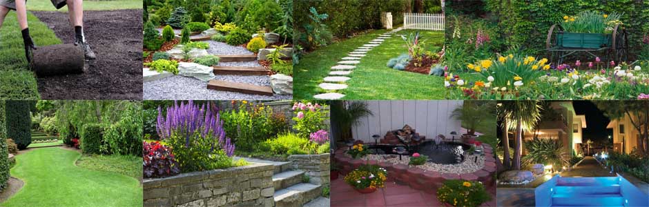 Bahçe Bakımı Ve Tasarımı