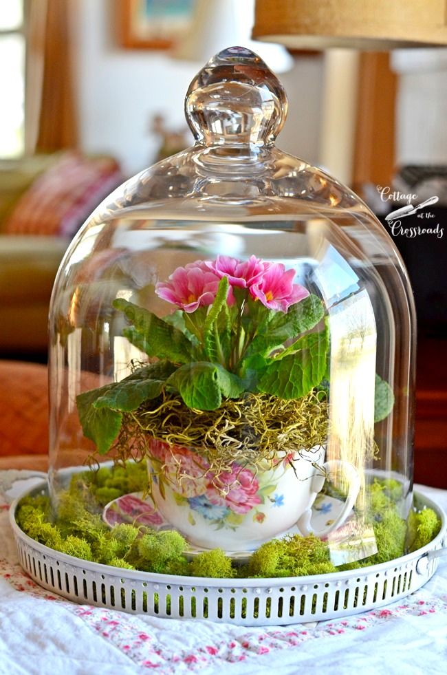 Terrarium Yapımı