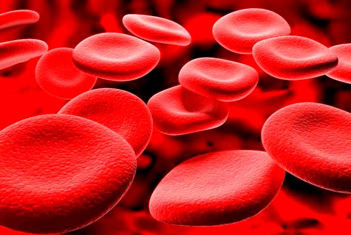 Çocuğunuz Kansız Olabilir Mi?