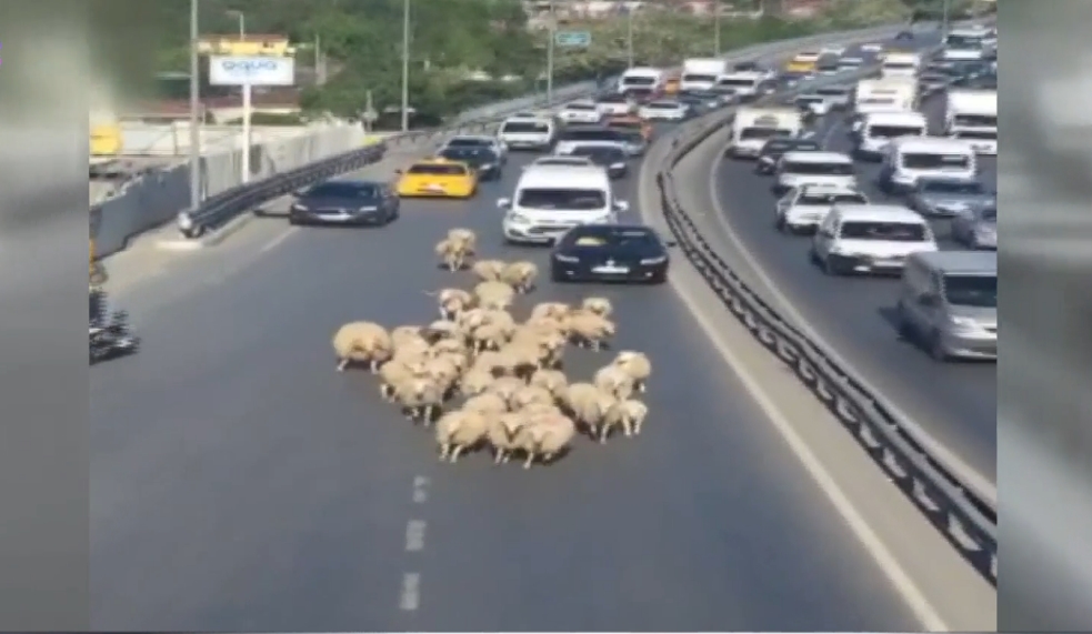 Megakentin Göbeğindeki Manzarayı Görenler Gözlerine İnanamadı.