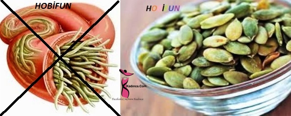 Kanser Hücrelerini Önlemeden Prostata – Uykusuzluktan,Kıl Kurduna. Bir çok Derde Deva Kabak Çekirdeklerinin Doğru Tüketimi