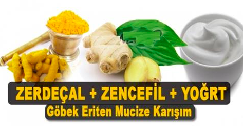 Zencefilli yoğurt ile zayıflama kürü