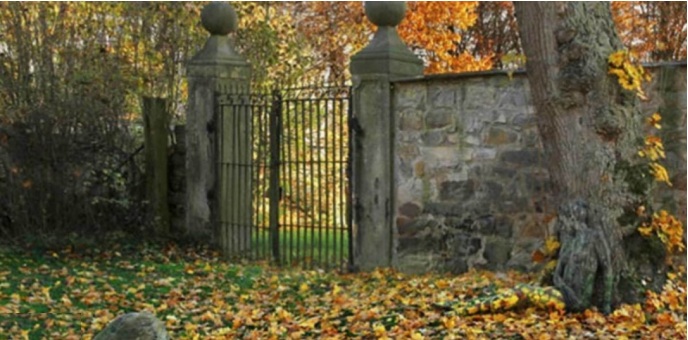Fotoğraftaki Kadını 10 Saniye İçinde Görebildiyseniz Görsel Zekanızla Övünebilirsiniz