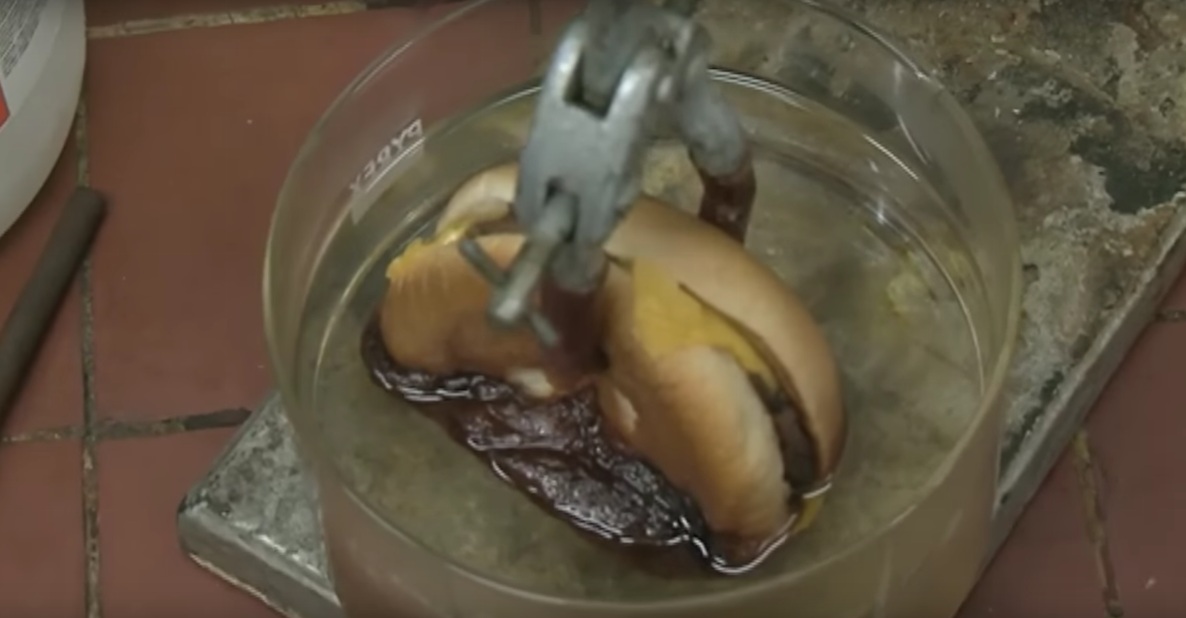 Hamburgeri Tuz Ruhunun İçinde 3.5 Saat Bekletince Bakın Neler Oldu