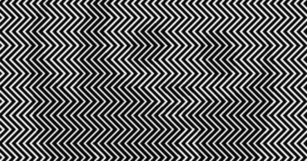 Fotoğraftaki Hayvanı Çok Az Kişi Görebiliyor – Peki Siz Görebiliyor Musunuz?