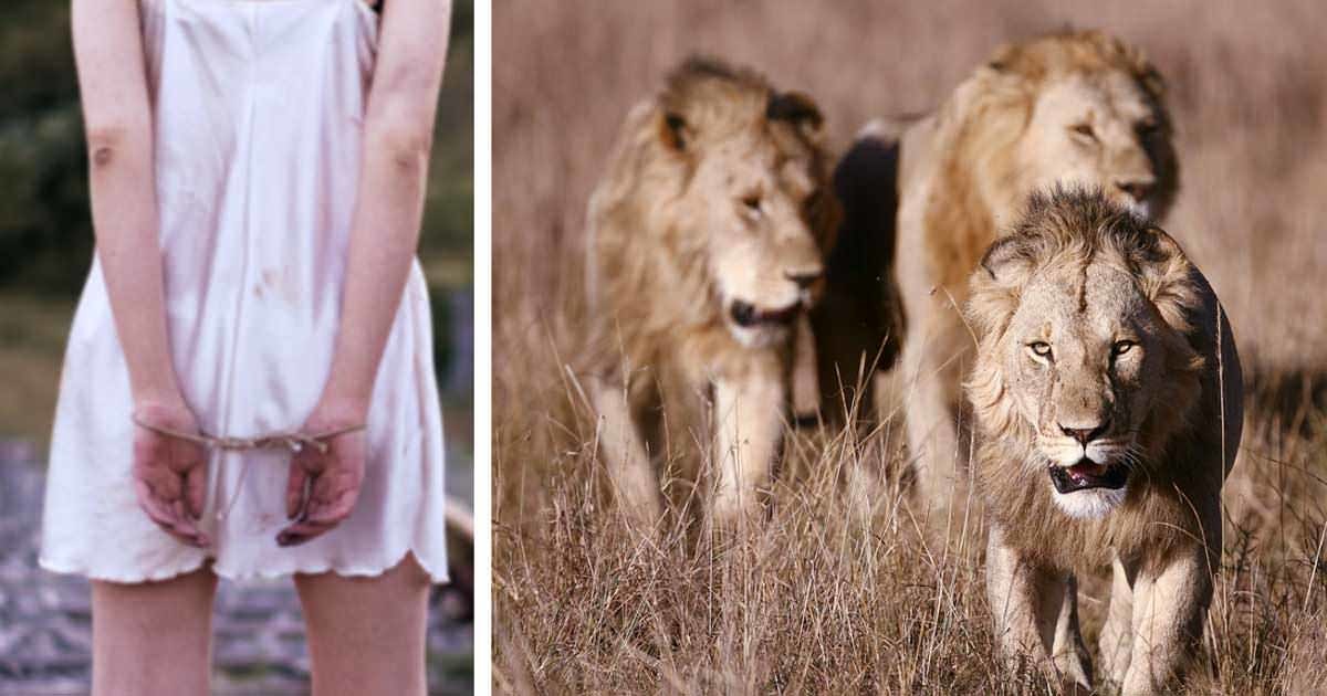 Kaçırılan 12 Yaşındaki Kızı Aslanlar Böyle Kurtardı- Aslanları küçük kızı korumaya iten şey neydi?