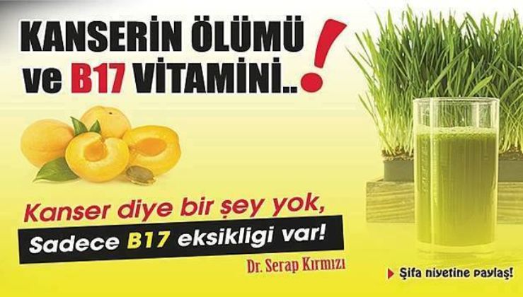 Kanserin En Büyük Nedeni B17 Vitamini Eksikliğidir Peki B17 Vitamini Hangi Besinlerde Var