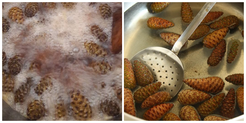 Koah, Bronşit, Öksürük İçin Çözüm Arayanlar… Kozalak Reçeli Sizin İçin…