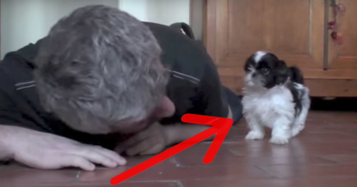 Köpeğine Ölü Taklidi Yaptı – Köpek Bakın Ne Tepki Verdi