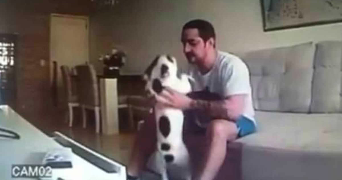 Nişanlısının Köpeğine Yaptığını Görünce Düğünü İptal Etti