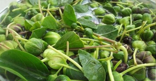 Paylaşın lütfen. Belki birisine çare olur…! MS Hastalığında Yüzde 80 Çare Olduğu Saptandı