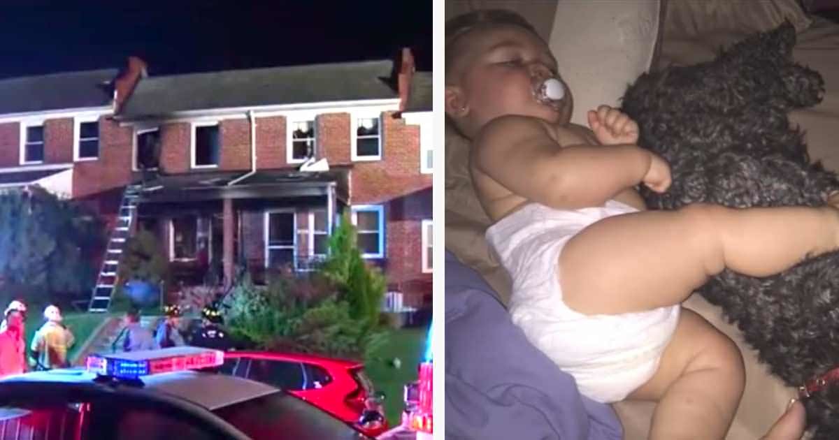 Yangında Bebeğinin Öldüğünü Sandı – Köpeğinin Yaptığını Duyunca İnanamadı