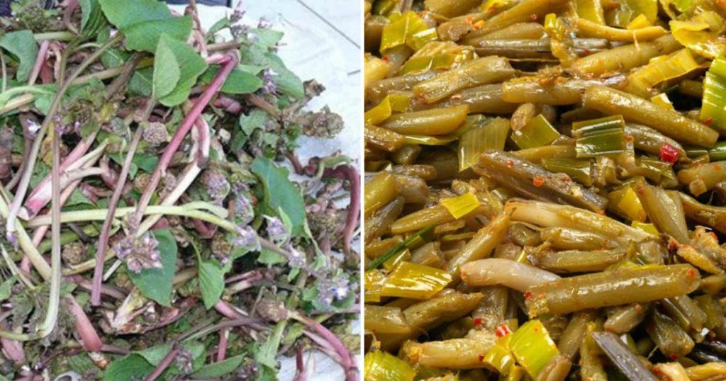 Özellikle sigara içenler için iyi bir balgam söktürücüdür ve boğaz-bademcik iltihaplarına iyi geldiğine inanılır