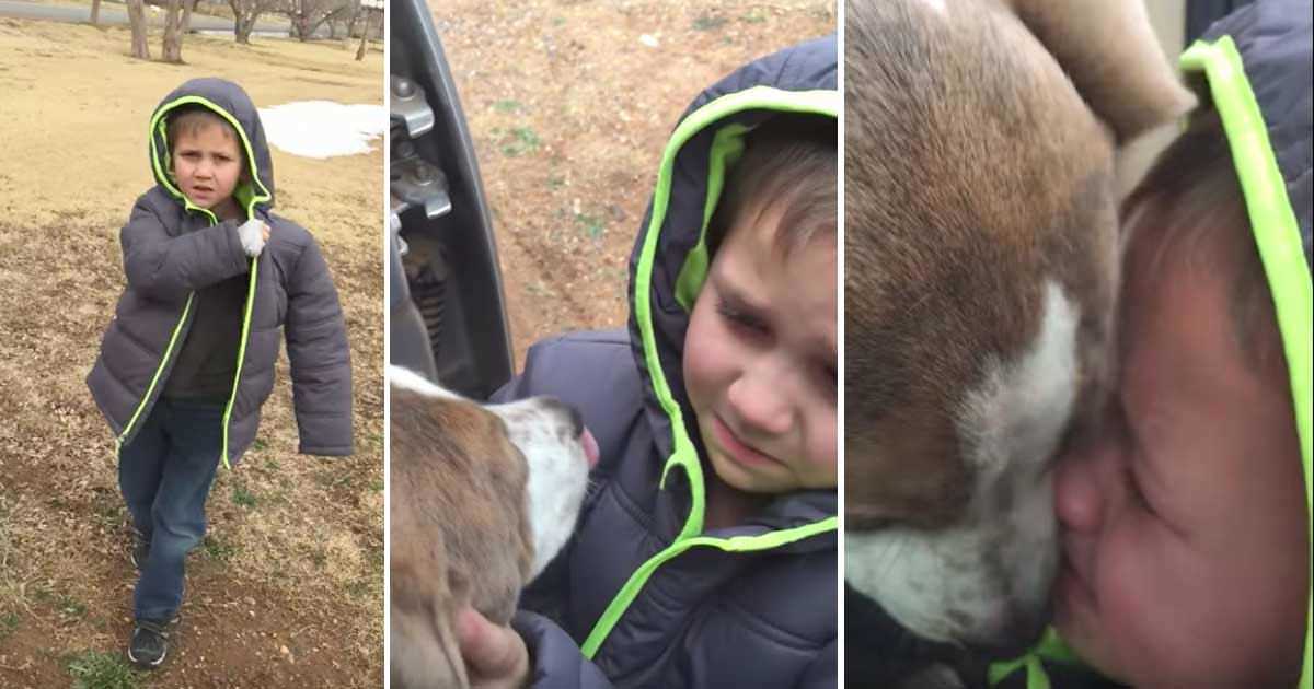 1 Aydır Kayıp Olan Köpeğine Kavuşunca Böyle Ağladı