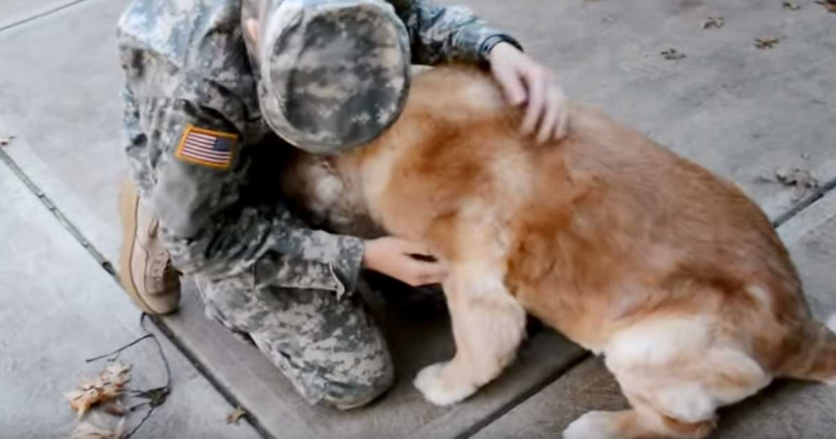3 Aydır Askerde Olan Sahibini Görünce Sevinçten Havaya Uçtu