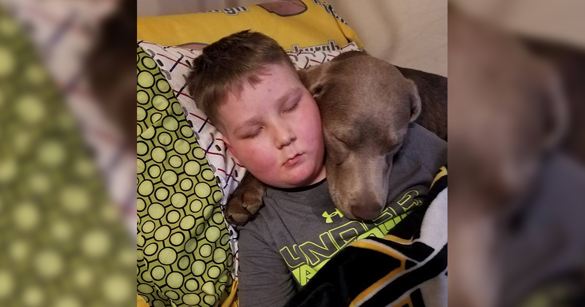 9 Yaşındaki Kanser Hastası Çocuk Babasına Artık Savaşmak İstemediğini Söyledi – Babasının Cevabı Herkesi Ağlattı