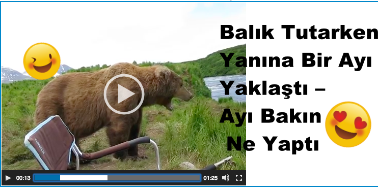 Balık Tutarken Yanına Bir Ayı Yaklaştı – Ayı Bakın Ne Yaptı