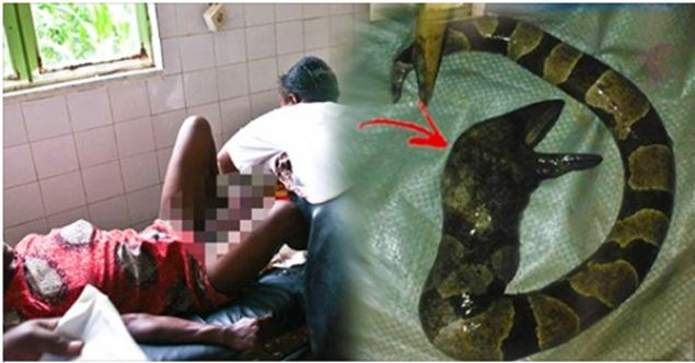 Dokuz aylık yılan doğuran kadın şoke etti ?