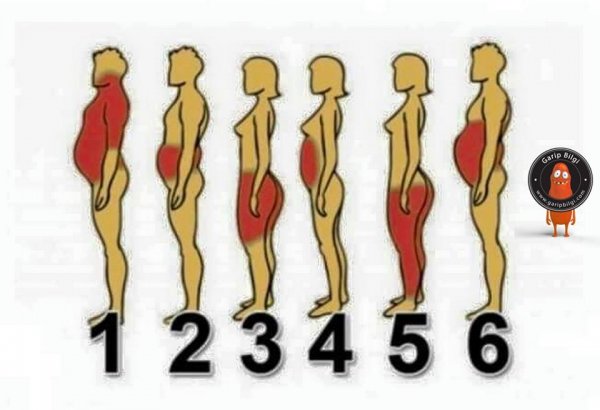 Hangi bölgenizden kilo alıyorsanız, sebebi bu işte !