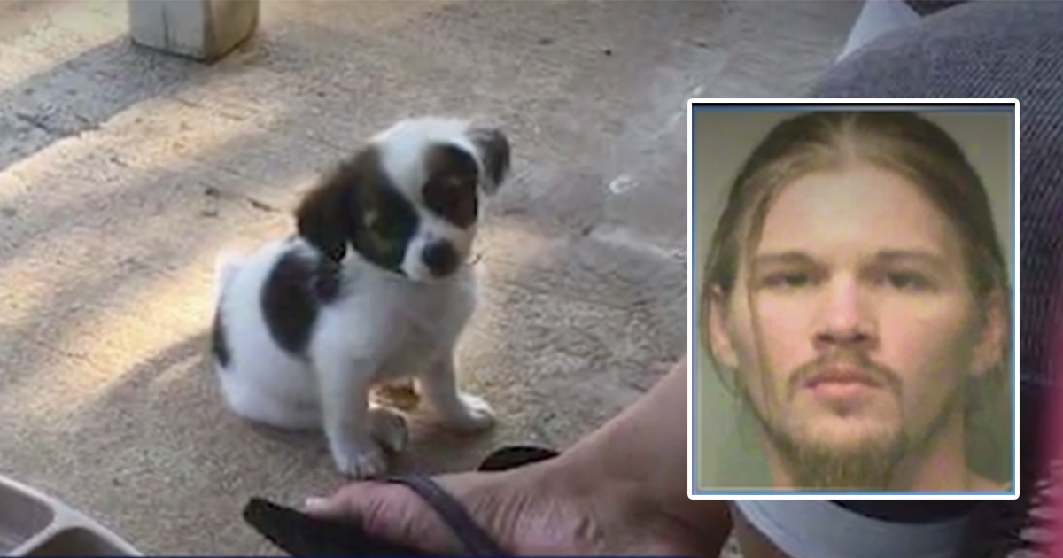 İnternetinin Şifresini Vermedi Diye Komşusunun Köpeğinin Boynunu Kırdı