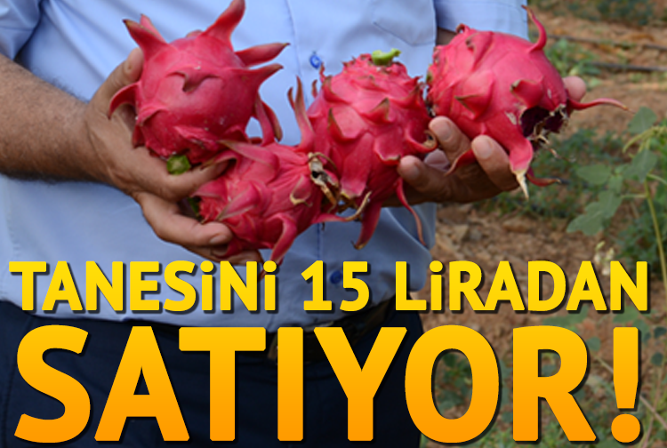 İnternette gördü araştırmaya başladı ve sonunda karar verdi. Tanesini 15 liradan satıyor… Yıllık kazancı dudak uçuklattı