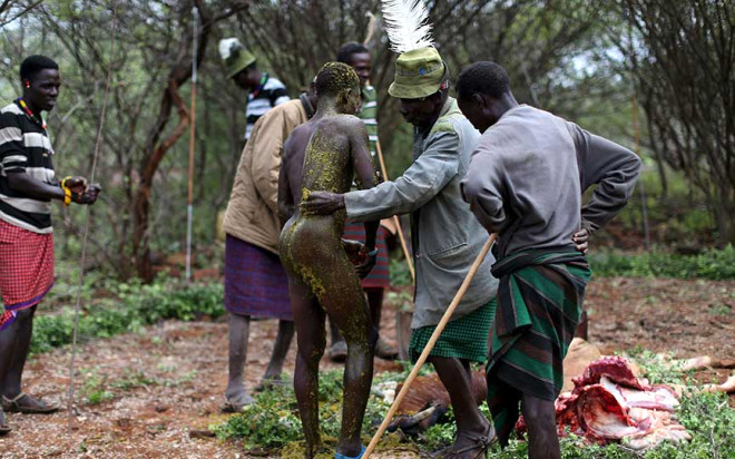 KORKUNÇ GELENEK: GENÇ ERKEKLERE ÖKÜZÜN KANI İÇİRİLİP, İÇ ORGANLARI SÜRÜLÜYOR