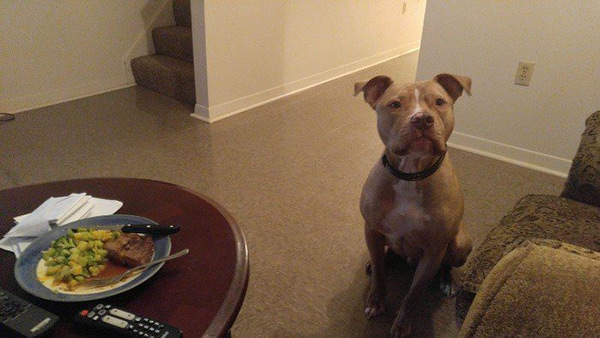 Kadınların Giydiği Kıyafetlerden Dolayı Tecavüze Uğradığını Düşünüyorsanız Fotoğrafa Dikkatlice Bakın