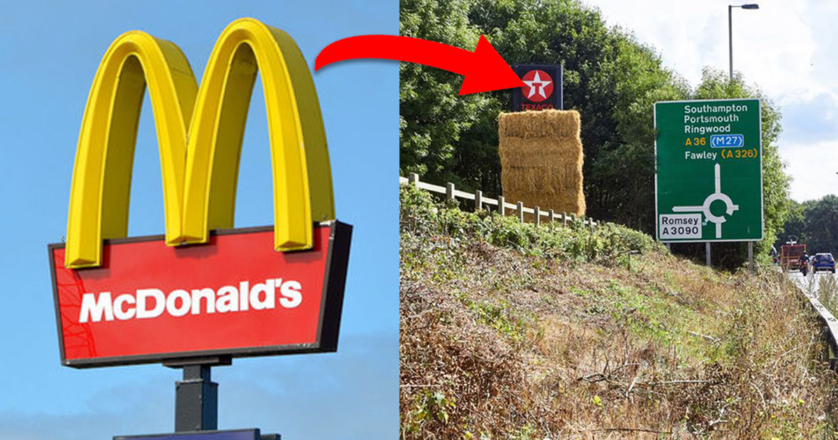 McDonald’s Çiftçinin İzni Olmadan Çalılarını Kesti – Çiftçi Bakın Nasıl İntikam Aldı