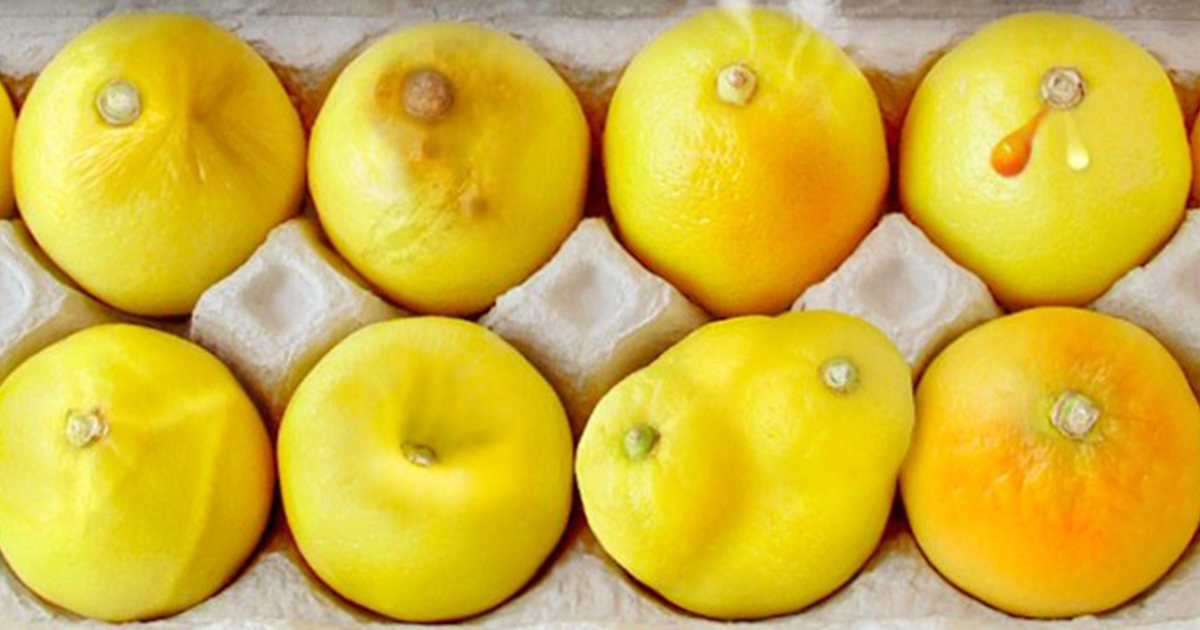 Meme Kanserinin En Yaygın Belirtileri Limonlarla Tasvir Edildi – İşte O Yaygın Belirtiler