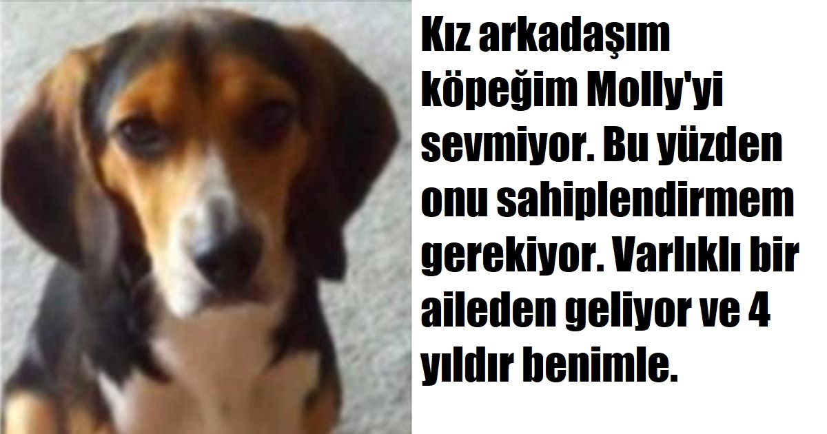 Ya Köpeğin Ya Ben Diye Rest Çekti – Çocuk Bakın Ne Cevap Verdi