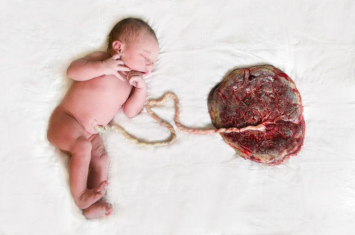 Plasentasını toz hale getirip yılbaşı süsü yaptı