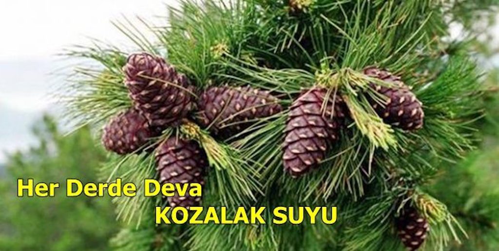 KAYNATIP SUYUNU İÇİNCE BAKIN NE İŞE YARIYOR! =>>>