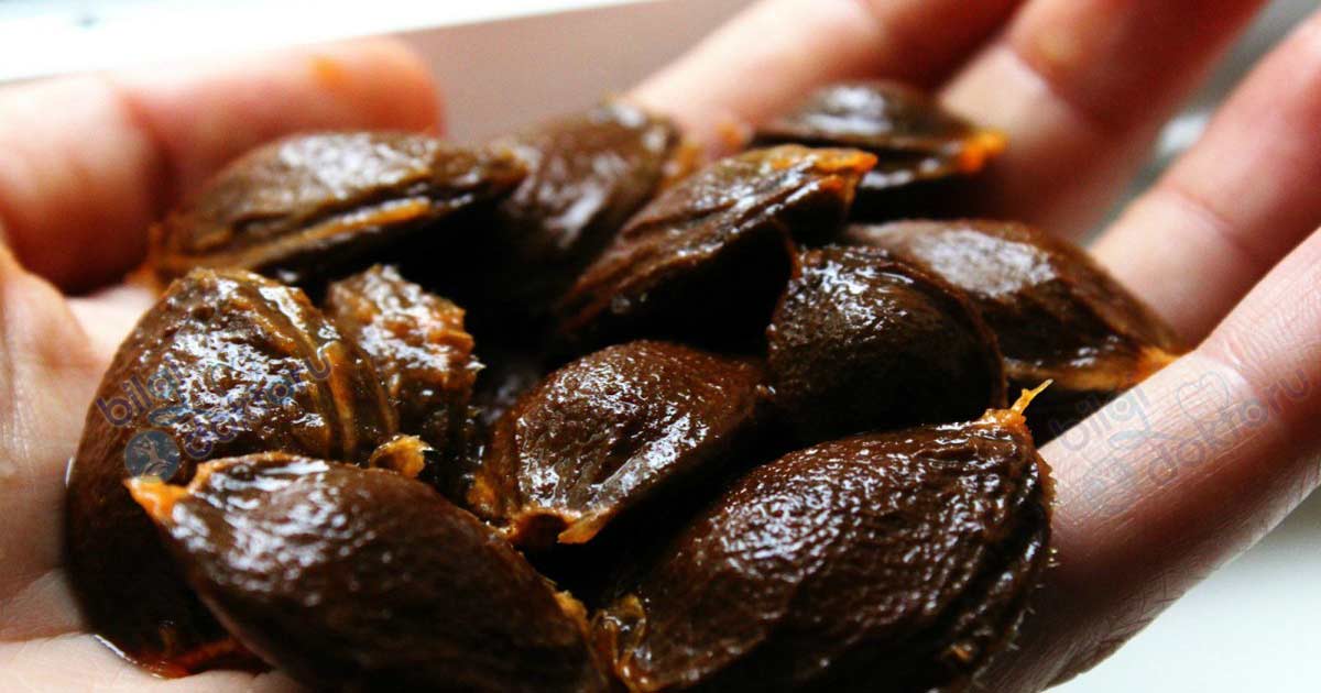 Kanserle Savaşan B17 Vitamini Hakkında