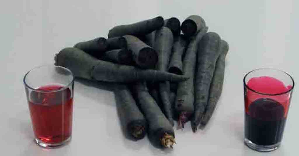 Kara Havuç ve Kara Havucun Faydaları.. =>>