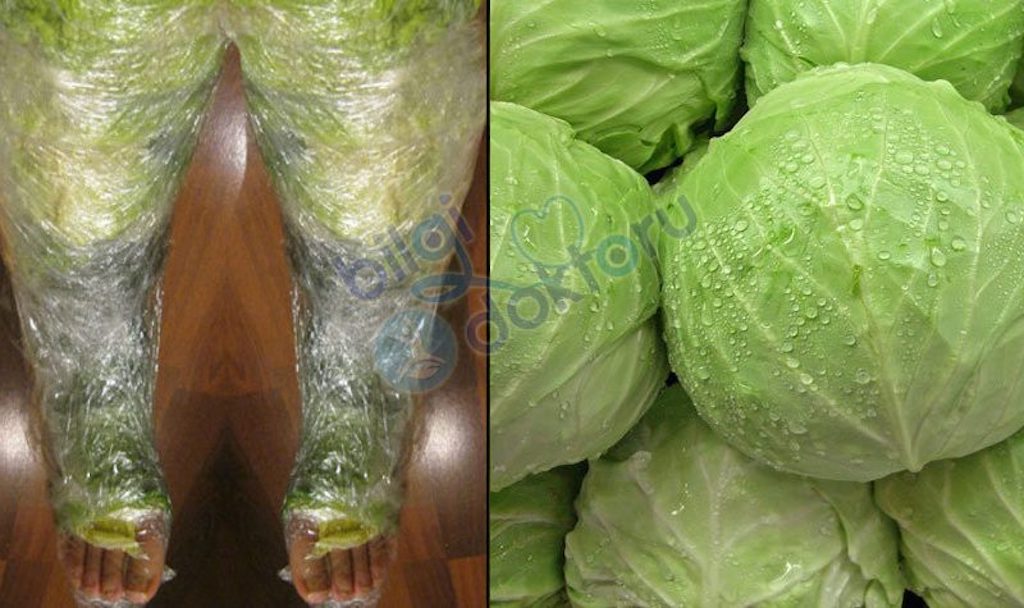 LAHANA YAPRAĞINDAKİ MUCİZE… MUTLAKA OKUYUN.. =>