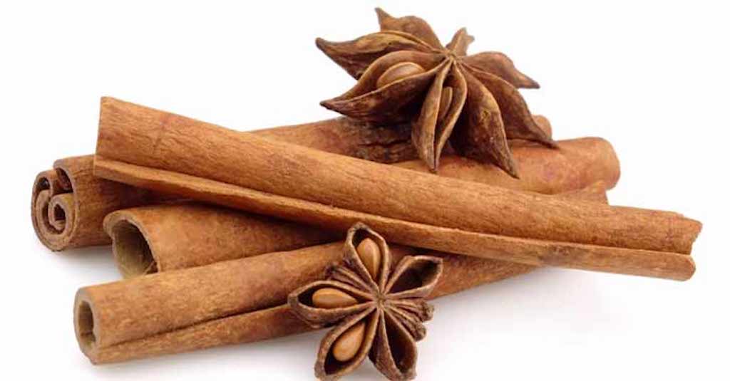 Tarçın ve Tarçının Faydaları Hakkında… =>>>