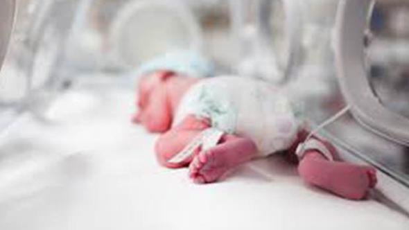 Toprağa verilecekti… Bir anda hareket etti…