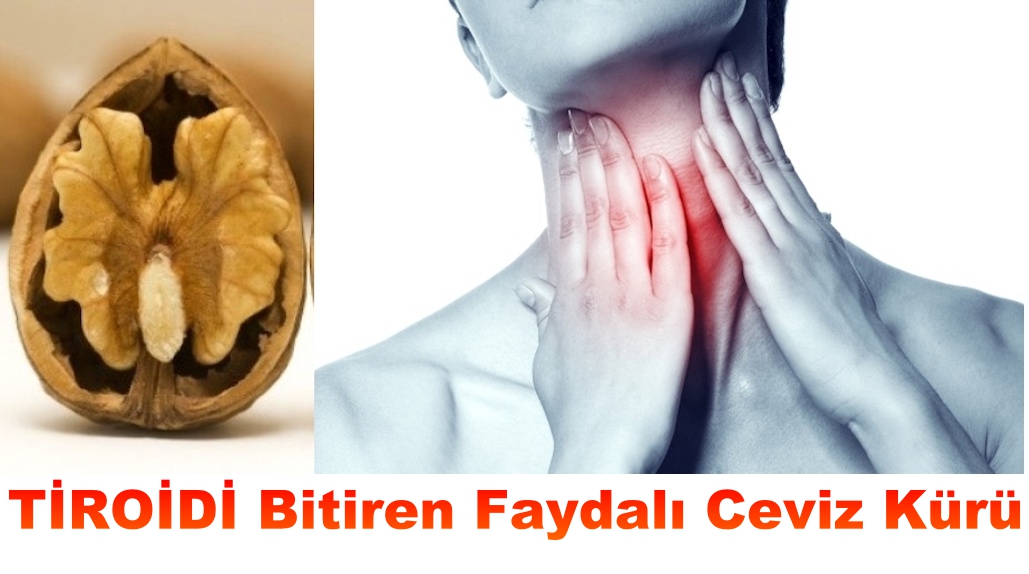 TİROİDİ Bitiren Faydalı Ceviz Kürü